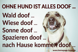 Foto mit Hundespruechen