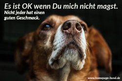 Foto mit Hundespruch