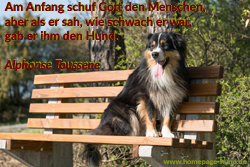 Foto mit Hunde-Sprüchen