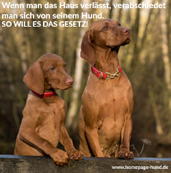 Foto mit Hundespruch