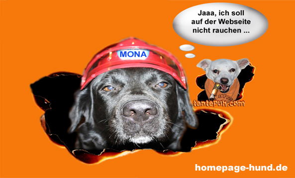 Kalli der Assistent - Hunde Homepage