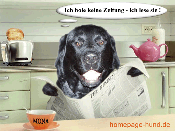Mona Hund liest Zeitung - Lustige Hunde Homepage