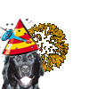 Silvester Hunde-Tipp