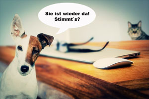 Fotomontagen Hund Dog
