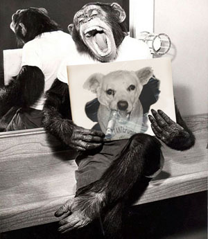 Fotomontage