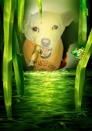 Fotomontage