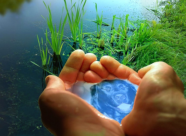 Fotomontage