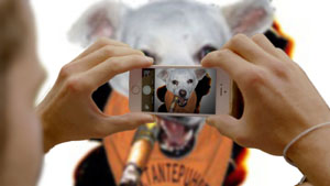 Fotomontage