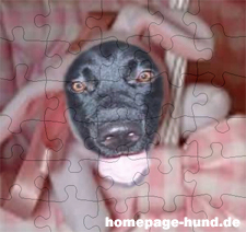 30 Teile Online Puzzle Hund